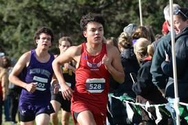 Dixon boys advance after taking 2nd: Sauk Valley cross country state qualifiers