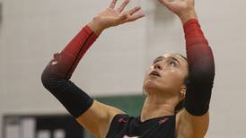 Three Sauk Valley Skyhawks earn all-region