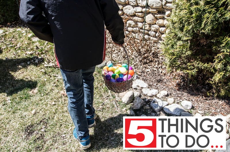 Phillip Hanlon, 7, of Woodstock, hunts for a golden egg while attending the fourth annual Eater Egg Hunt at Bettendorf Castle in Fox River Grove Saturday, April 4, 2015. Over 3,500 eggs were hidden for local children, a balloonist was on site, sweets and snacks were available at the event along with a visit from the Easter Bunny.