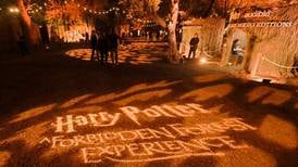 Harry Potter experience brings touch of magic to the suburbs