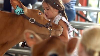 Photos: Final day of McHenry County Fair 2025