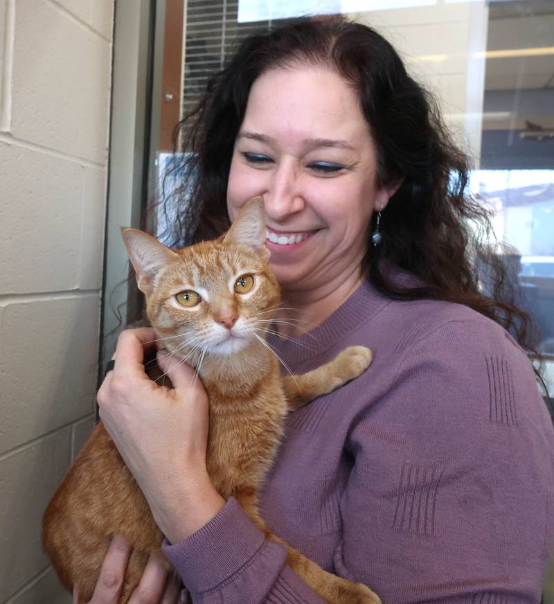 Michelle Groeper, executive director at Tails Humane Society, pets one of the cats available to be adopted, Wednesday, Feb. 11, 2026, at the shelter in DeKalb. Tails was presented with the Nonprofit Organization of the Year award by the DeKalb Chamber of Commerce.