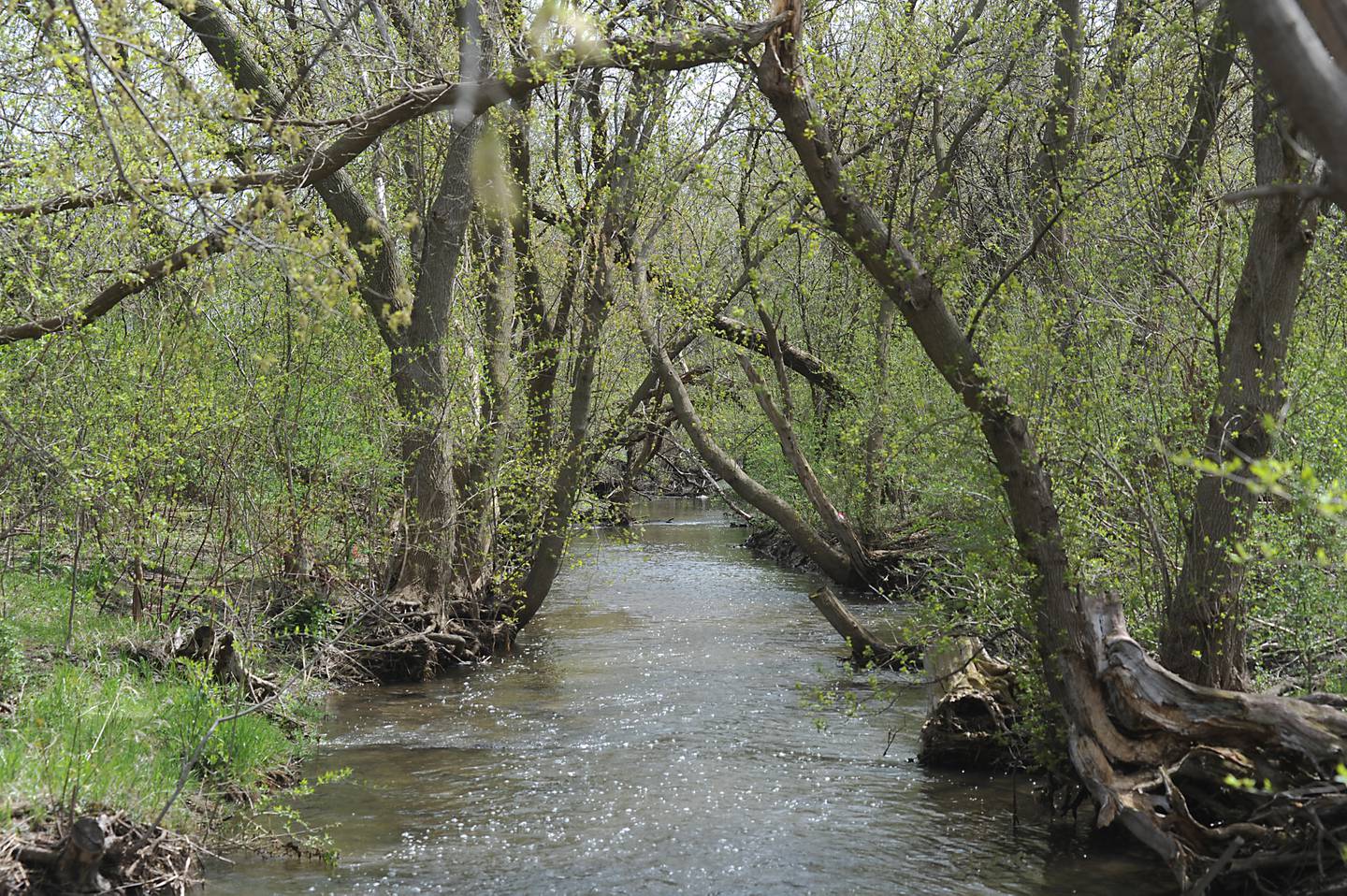 Woods Creek in Lake in the Hills on Wednesday, May 4, 2022. Lake in the Hills approved a $1.3 million contract to continue its restoration of the creek.