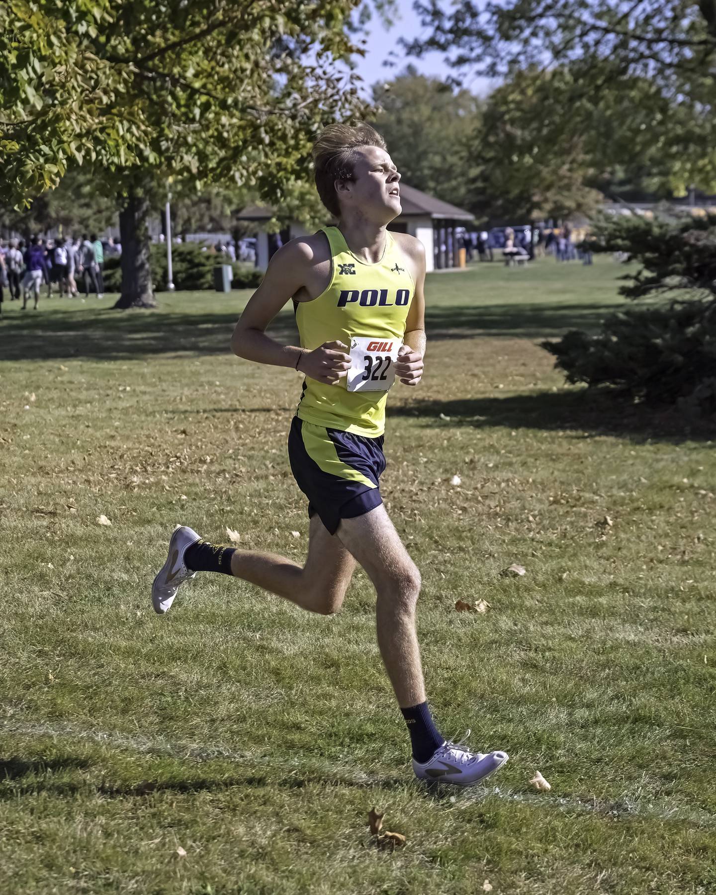 Polo's Carson Jones runs at the 1A Rock Falls Regional on Saturday morning at Centennial Park. Jones placed eighth individually and advanced to next weekend's sectional.
