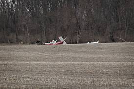 One person dead in Whiteside County plane crash, police said