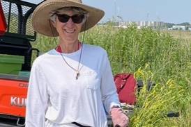 Down the Garden Path: Veggie garden inspiration