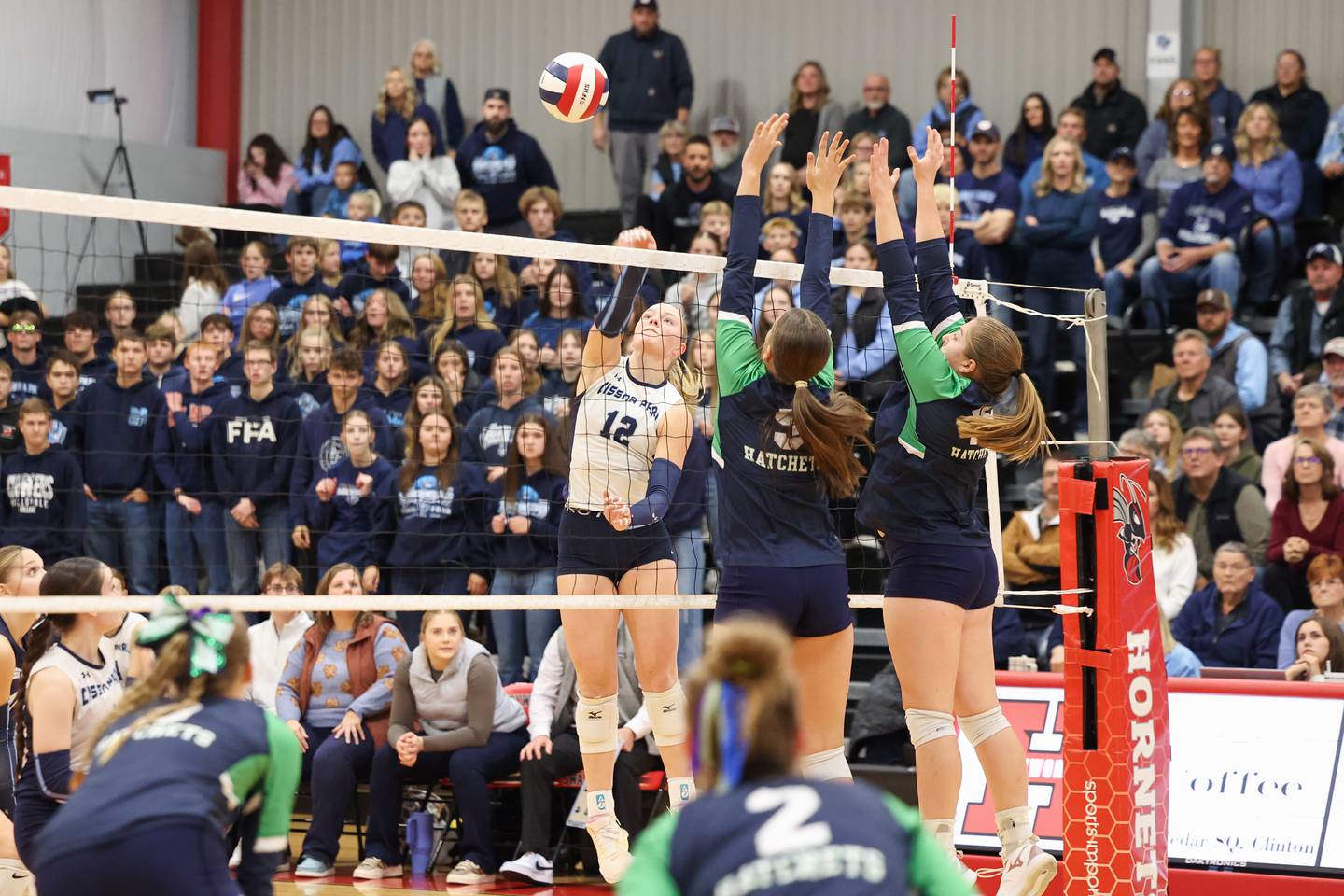 Cissna Park's Josie Neukomm spikes the ball during the Timberwolves' victory in two sets, 25-22, 25-11, over Windsor/Stewardson-Strasburg in the IHSA Class 1A Heyworth Super-Sectional on Monday, Nov. 10, 2025.