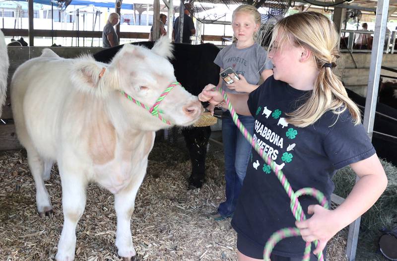 Leni O'Donnell, (left) 9, from Waterman, and Zoey Herrmann, 10, from Earlville, pull out Herrmann's purebred shorthorn calf named Cannoli Wednesday, Sept. 7, 2022, on opening day of the Sandwich Fair. The fair continues this week through Sunday.