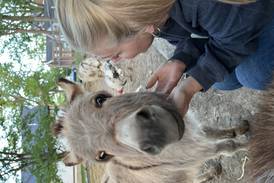 Kitzman’s Farm Sanctuary tours are Aug. 2