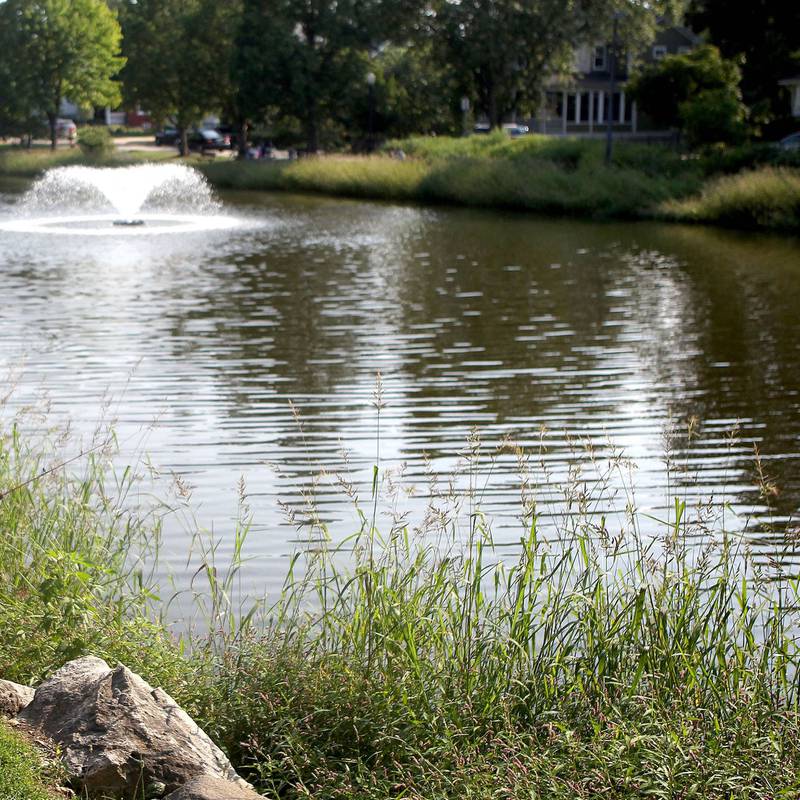 Prince Pond is one of the Downers Grove Park District's attractions.