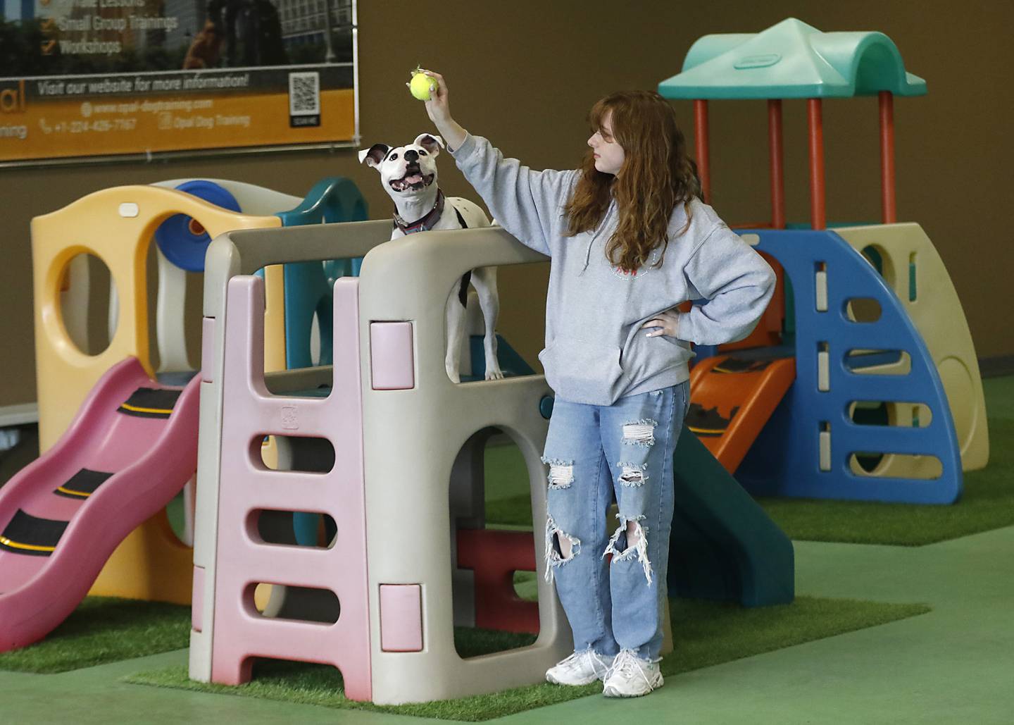 Mya Mayberry, a dog park attendant at Woof & Run, plays with Clarabelle Tuesday, April 25, 2023, at the indoor dog park and dog day care in McHenry. Woof & Run is re-opening after being closed for two weeks because of a staffing shortage.