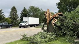 Will County residents have one week left to apply for storm damage relief 