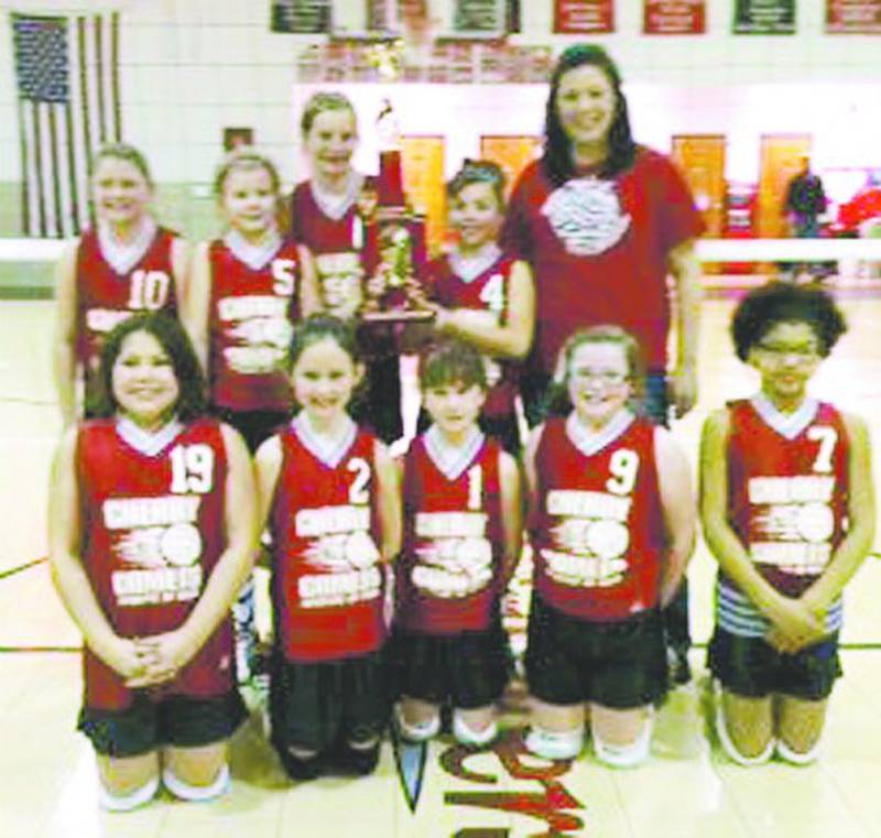 Team members are (front row, from left) Mariah Burgin, Avery Lamis, Rachael Kobold, Payton Kerper and Jazmin Abbey; and (back row) Hayleigh Brokaw, Courtney Kobold, Christina Muncy, Madison Soldati and coach Deb Brokaw.