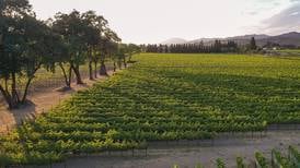 Uncorked: Sullivan – Where the Old World Meets the New World With Elegance and Power