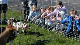 Photos: Forreston FFA Ag Day