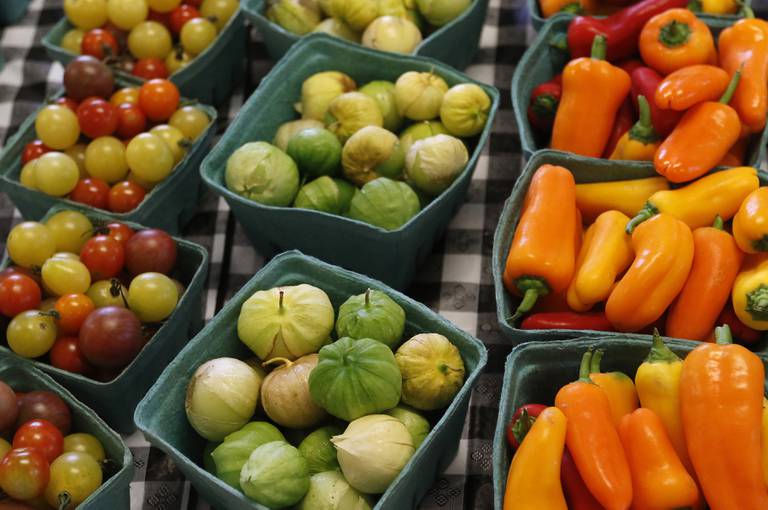 Produce from the student farm for sale Monday, Sept. 12, 2022, at McHenry County College, 8900 Route 14 in Crystal Lake. Monday was the start of 12-week courses, at the campus. The regular semester started several weeks ago.