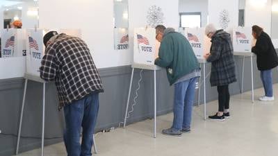 Here are Illinois Valley’s March 2026 primary election results