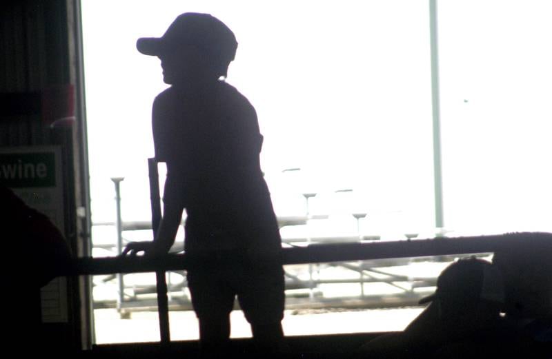 A young farmer is silhouetted in the Show Barn at the Lee County Fair on Sunday, July 27, 2025.
