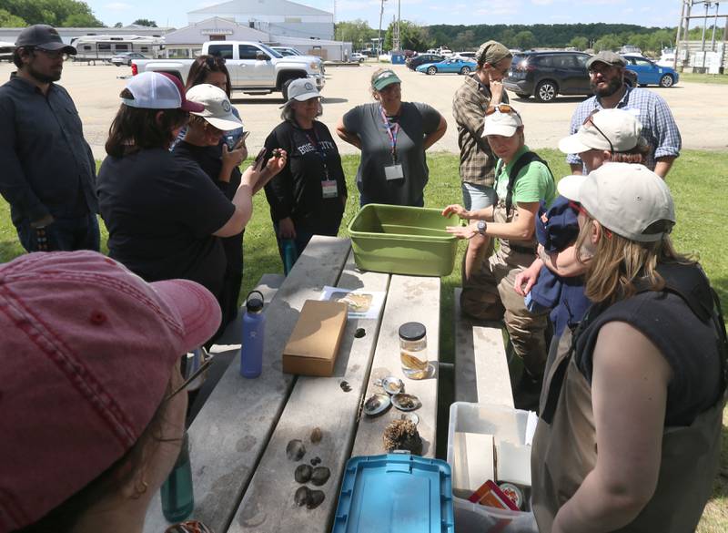 Alison Stodola, a malacologist for the Illinois Natural History Survey and Prairie Research Institute, shows freshwater muscles to a group of Tribal Nations during an event on Wednesday, May 20, 2026, at the Starved Rock Marina.