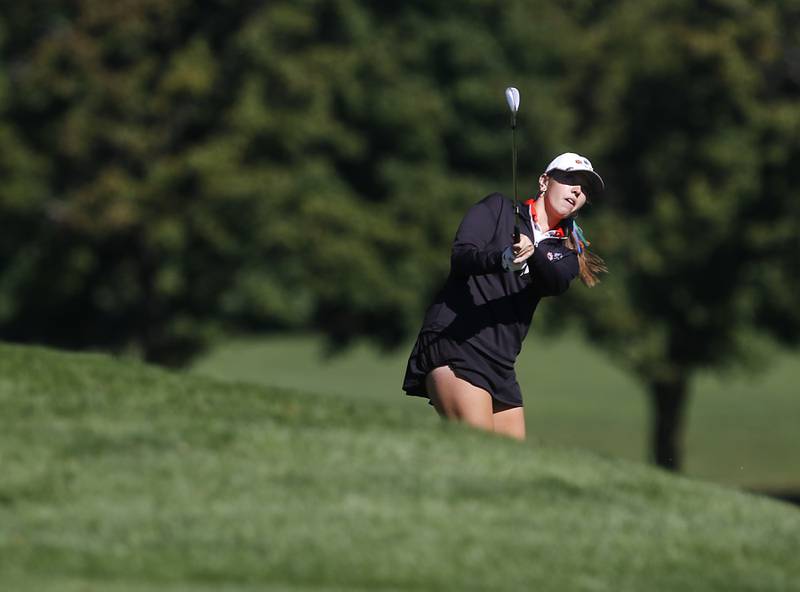 Crystal Lake Co-op’s Delaney Medlyn watches her chip shot onto the seventh green during the IHSA Class 2A Huntley Girls Golf Regional on Tuesday, Oct. 1, 2024, at Pinecrest Golf Club in Huntley.