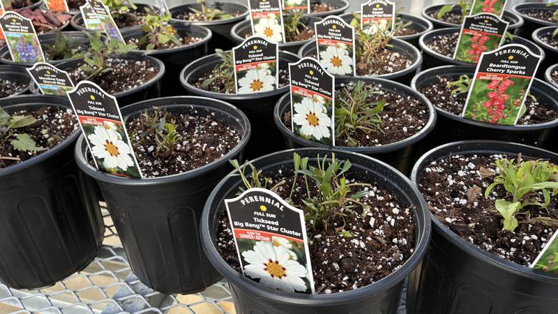 The Great Seed Event is set for 10 a.m. to 2 p.m. Feb. 7 at McHenry County College, in the cafeteria. More than 1,000 people are expected at the event, where gardeners will swap seeds and learn about composting, urban gardening and pocket prairies.