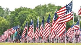 Old glory in all her glory: 2,000 flags fly in Wheaton
