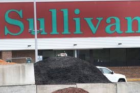 Photos: Canadian goose lays her eggs in a parking lot at Sullivans in Princeton