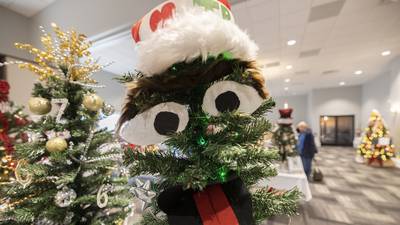 Rock River Hospice and Home raising funds through annual Festival of Trees