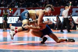Princeton’s Casey Etheridge, Kane Dauber earn state wrestling medals