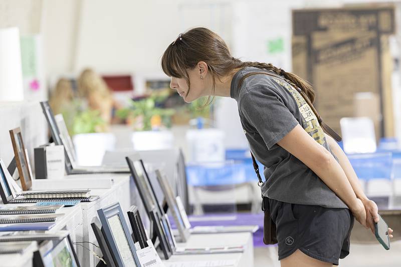 Janell Happ of Mendota checks out some go the photography on display Thursday, July 25, 2024 at the Lee County 4H Fair.