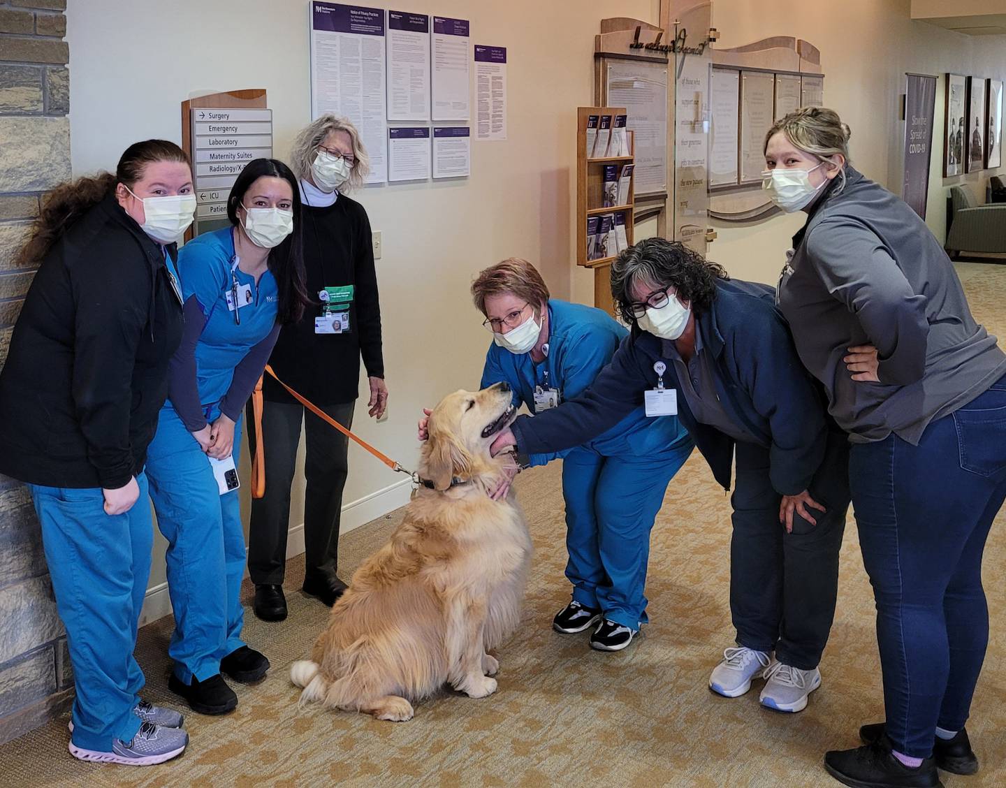 Staff at Northwestern Medicine Valley West Hospital enjoy a visit from therapy dog O’Mally on National Rural Health Day.
