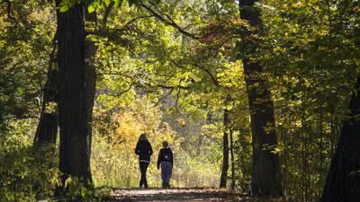 New pedestrian bridge planned for Maple Grove Forest Preserve near Downers Grove