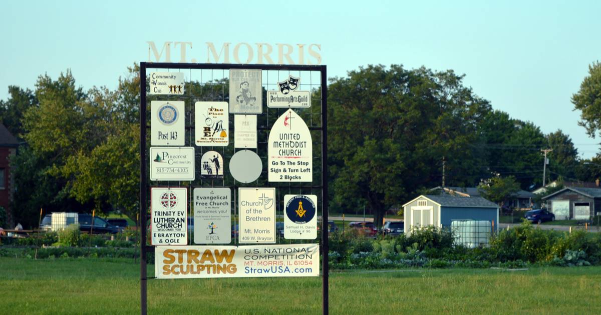 Fatal dog-on-dog attack prompts Mt. Morris crackdowns on violations – Shaw Local