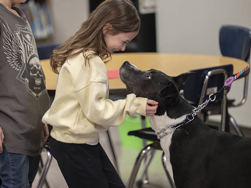 Give Me Shelter: Granny Rose dogs visit Jefferson School