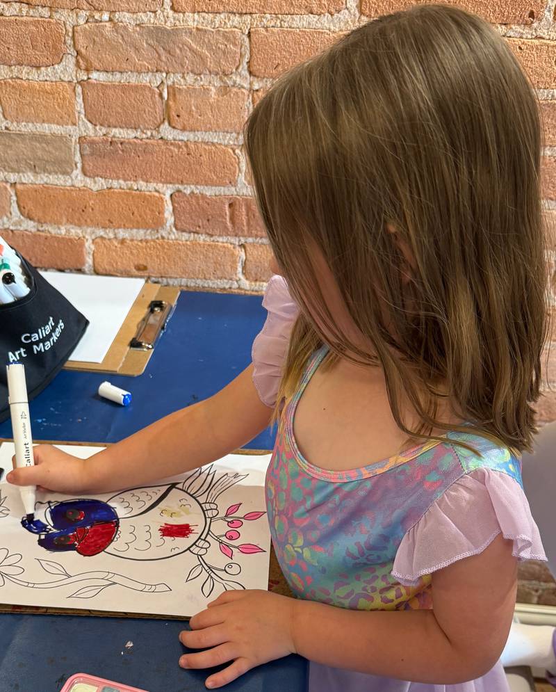 The Kishwaukee Valley Art League's Young Picasso summer art program