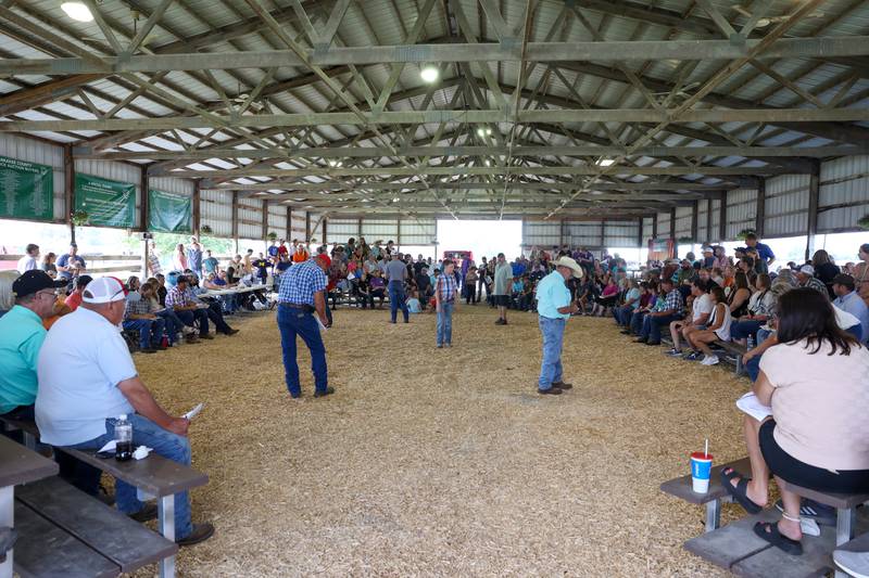 Bidding is underway as farm families, buyers and supporters gather in the Cattle Show Arena for the Livestock Auction at the Kankakee County Fair on Saturday, Aug. 2, 2025.