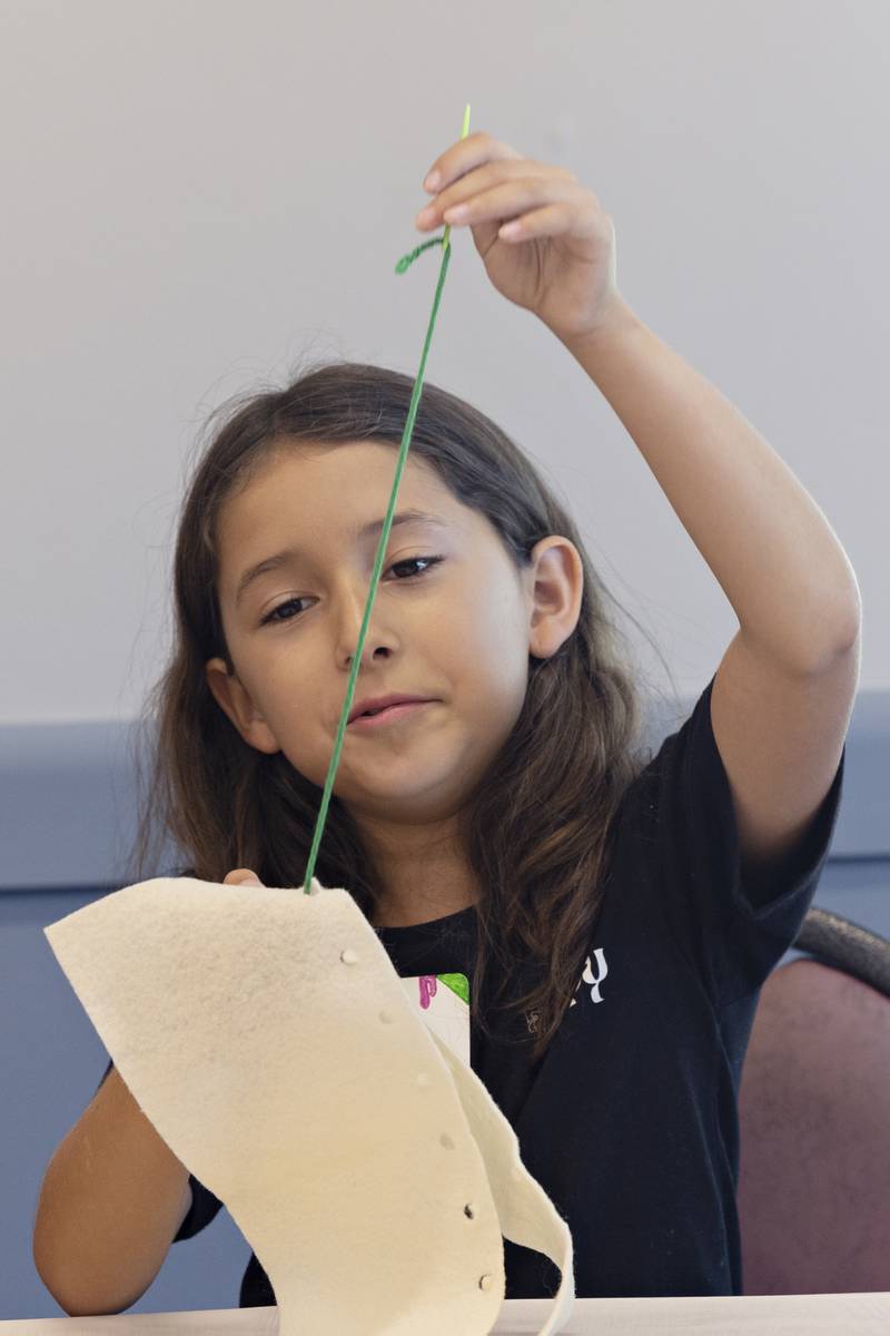 Destiny learns how to suture Monday, July 28, 2025, at a veterinary medicine workshop instructed by the Whiteside 4-H at the Rock Falls library.