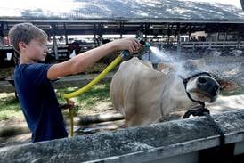 Photos: 2025 McHenry County Fair opens