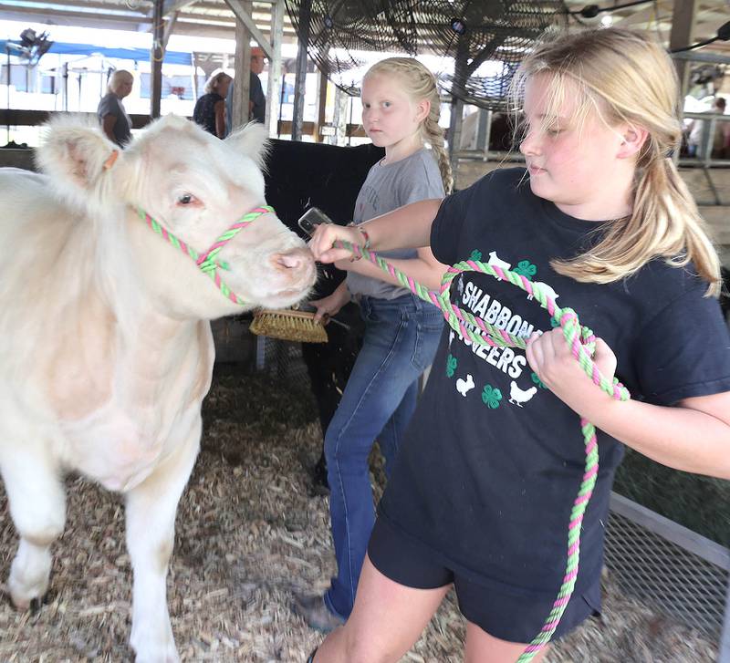 Leni O'Donnell, (left) 9, from Waterman, and Zoey Herrmann, 10, from Earlville, pull out Herrmann's purebred shorthorn calf named Cannoli Wednesday, Sept. 7, 2022, on opening day of the Sandwich Fair. The fair continues this week through Sunday.