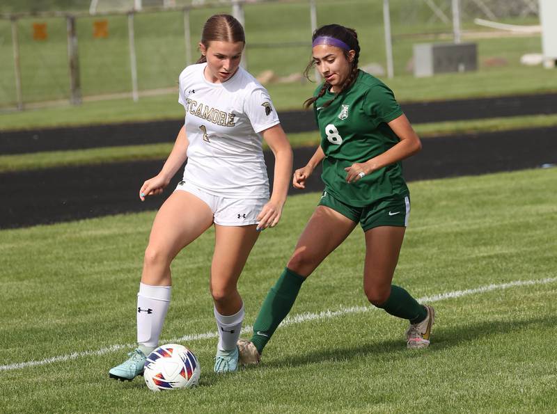 Sycamore's Lizzie Goff tries to work around Boylan's Johanna Hawley during their Class 2A sectional semifinal game Tuesday, May 21, 2024, at Belvidere High School.