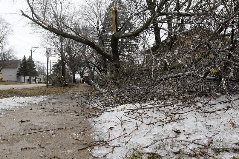 A downed tree branch near the sidewalk by the intersection of South McHenry Avenue and West Franklin Street in Crystal Lake on Thursday, Feb. 23, 2023, as county residents recover from a winter storm that knocked down trees and created power outages throughout McHenry County.