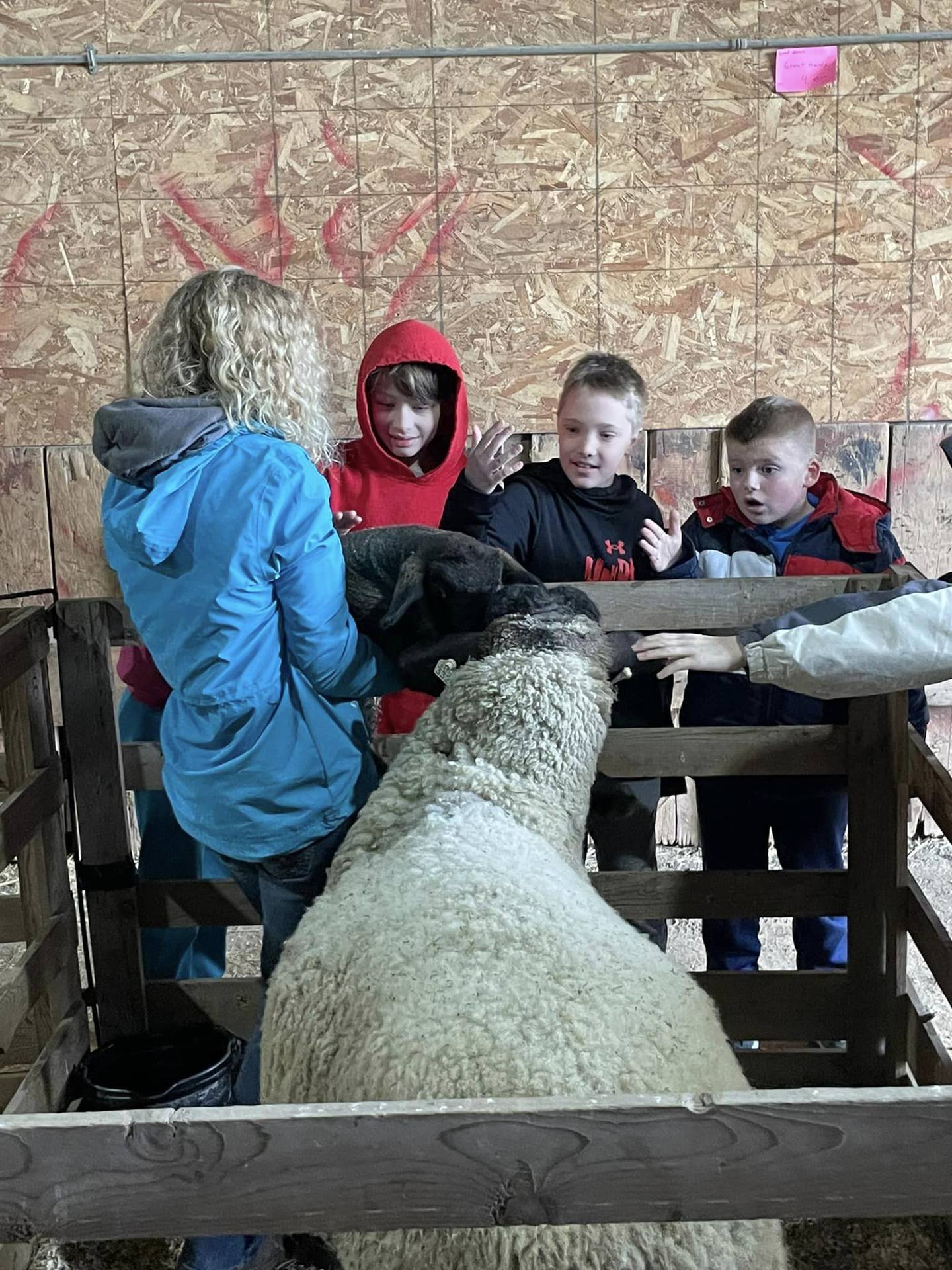 Students visited the Large and Small Animal Learning Centers where they were able to hear animal facts and pet each of the animals while asking any other questions they may have had. Thank you to Karli Schultz and her family for bringing in their ewe and lamb.