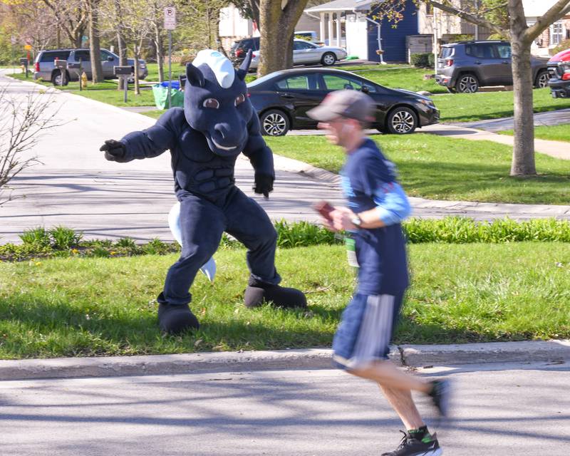 Downers Grove South mascot encourages runners and shows them the way to the finish line on Sunday April 14, 2024, during the Mustang Trot race held at Downers Grove South High School.