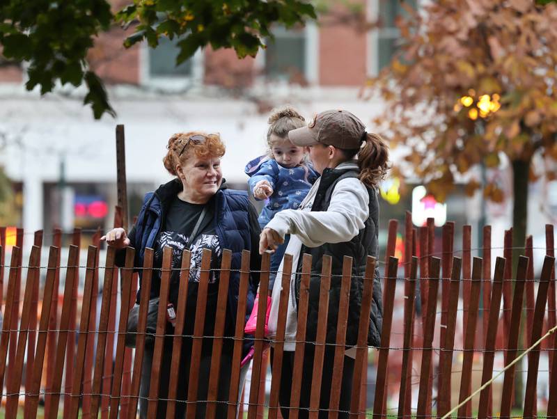 Visitors check out the pumpkins Wednesday, Oct. 25, 2023, on the lawn of the DeKalb County Courthouse during the Sycamore Pumpkin Festival.