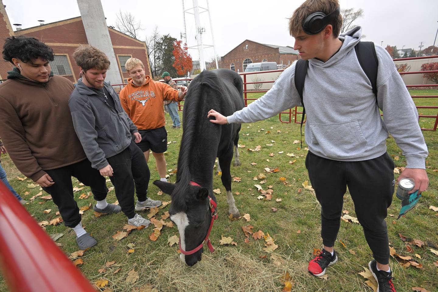 Horses from Mane Trail Stables, an equine-assisted therapy and learning center, interact with Benedictine University students on campus in Lisle. The university is offering an Intro to Animal Therapy course in the spring.
