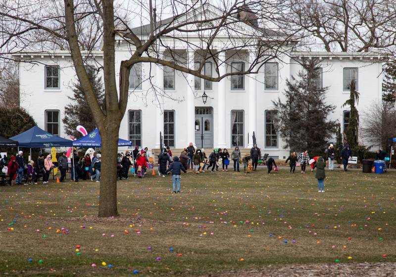 Easter egg hunters rush to grab eggs during the Elmhurst Park District's Adult Easter Egg Hunt at Wilder Park on Saturday, March 18, 2023.