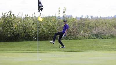 Boys golf: Dixon advances team; Sterling, Rock Falls advance individuals from 2A Rock Falls Regional