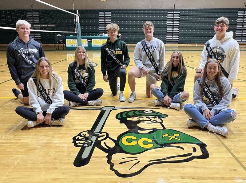 Court members are (from left, seated): Cassidy Jenke, Gianna Ferrara, Makayla Henline and Jadyn Shaw. In row two: Austin Davy, Cade Baldauf, Stephen Beyers, Jr., and Jim Feeney