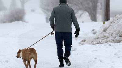 Here’s how to keep your dog safe in winter weather