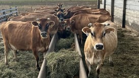 Raw milk proponents push for fewer restrictions on Illinois sales despite state health warnings